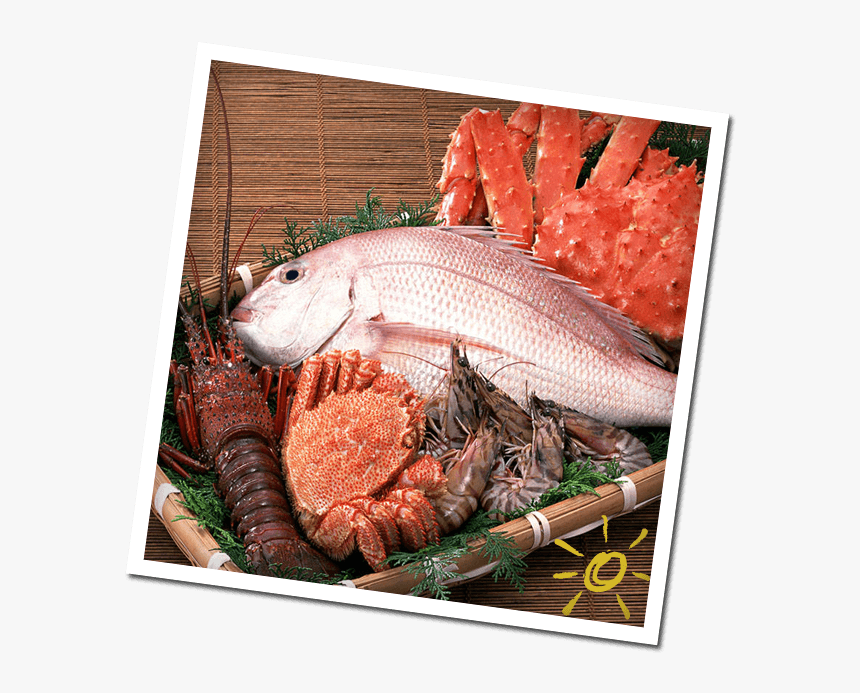 Transparent Seafood Png - عکس از غذاهای دریایی, Png Download