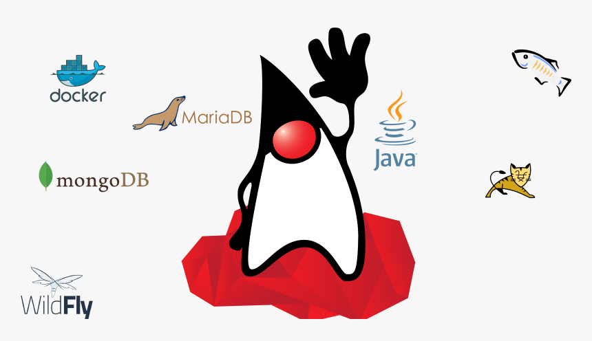 Java Hosting - Amazon Corretto Logo, HD Png Download