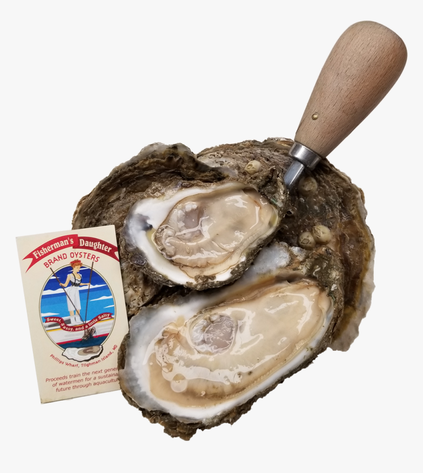 Fishermans Daughter Brand Oysters - Tiostrea Chilensis, HD Png Download