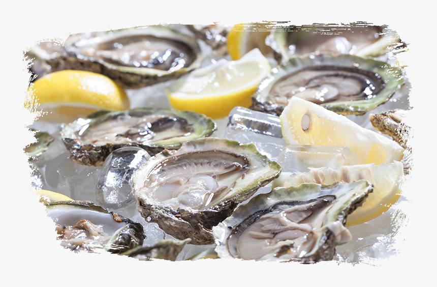 Dirty Al S Oysters - Oyster, HD Png Download