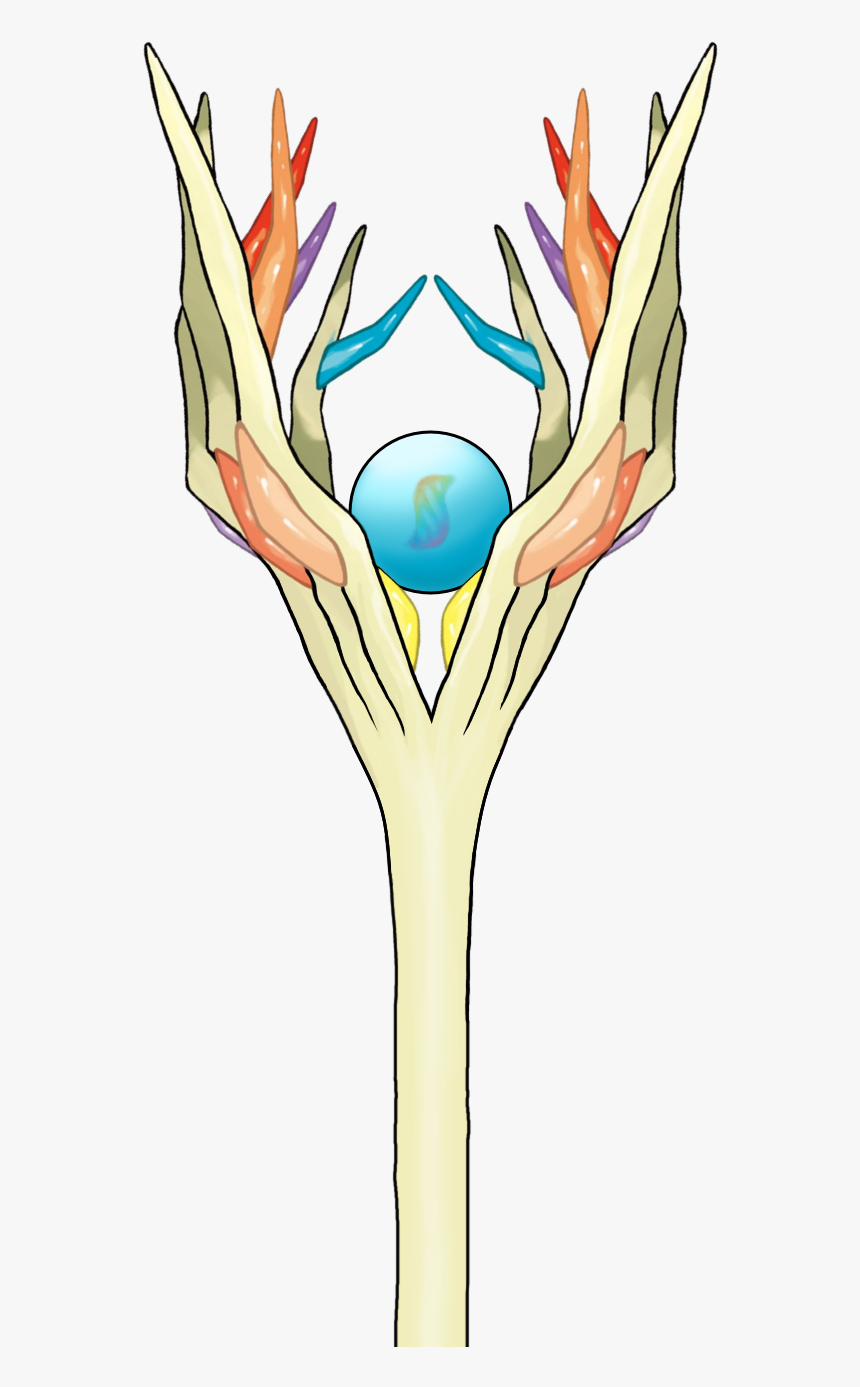 Clip Art, HD Png Download