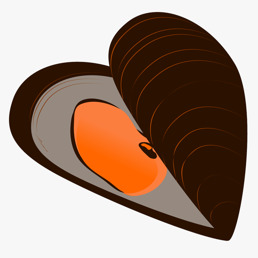 Mussel Clipart, HD Png Download