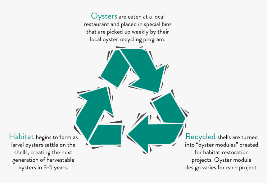 Image Broken - America Recycles Day 2018, HD Png Download