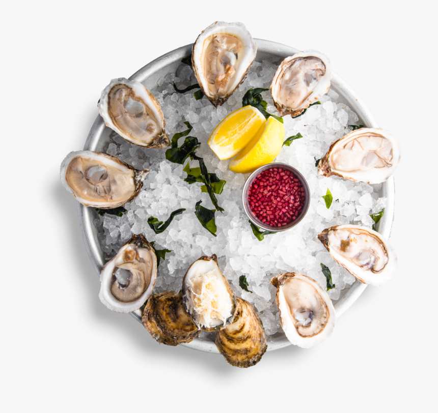 Tiostrea Chilensis, HD Png Download