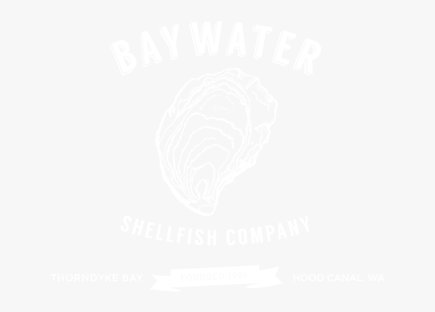 Enjoy Baywater Sweet Oysters From Thorndyke Bay - White The Weakness In Me, HD Png Download