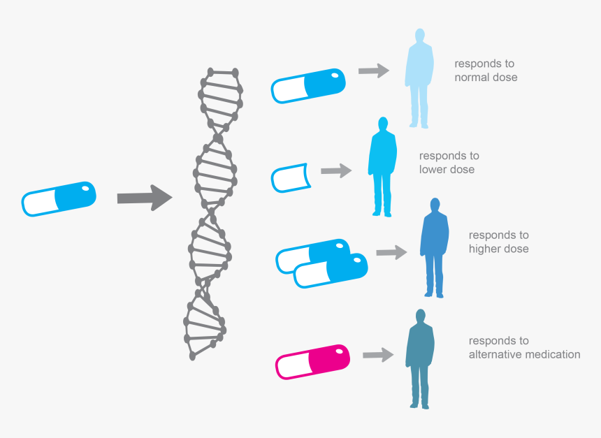 Personalized Medicine, HD Png Download
