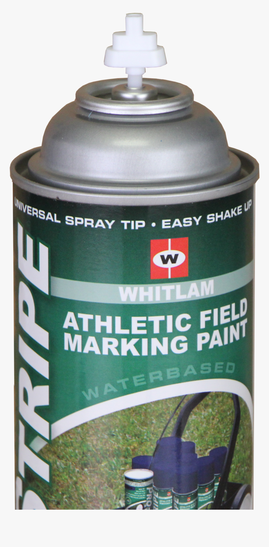 Grass, HD Png Download