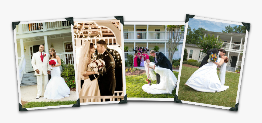 Wedding Couples Png, Transparent Png