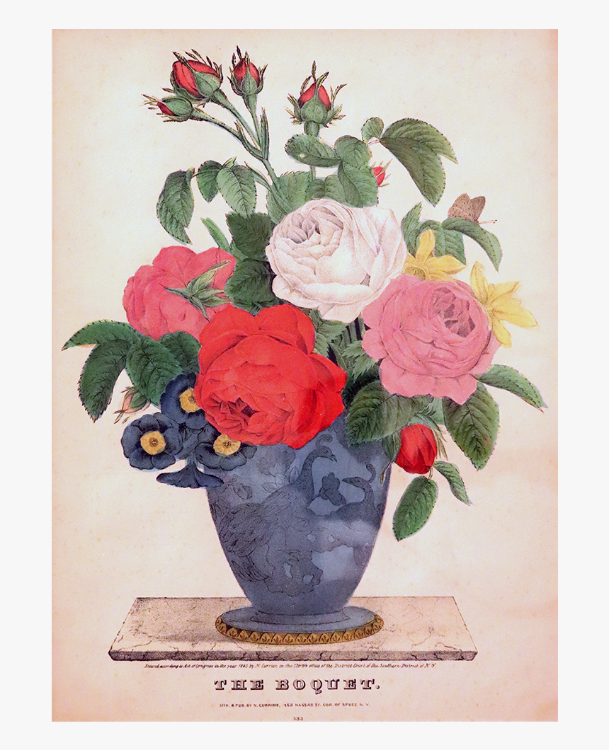 Garden Roses, HD Png Download