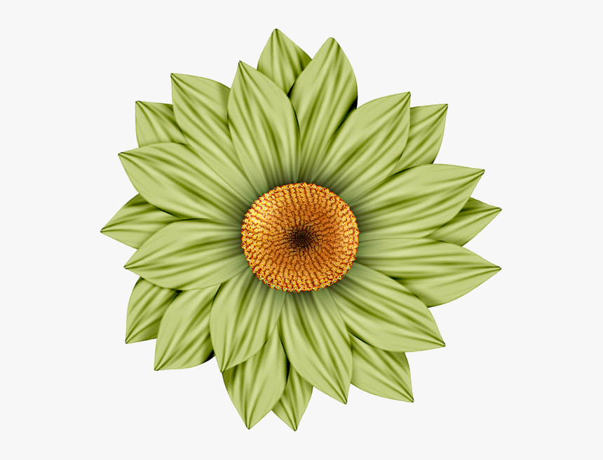 Flower Clipart Picasa Scrap - Flowers Clip Art 3d, HD Png Download
