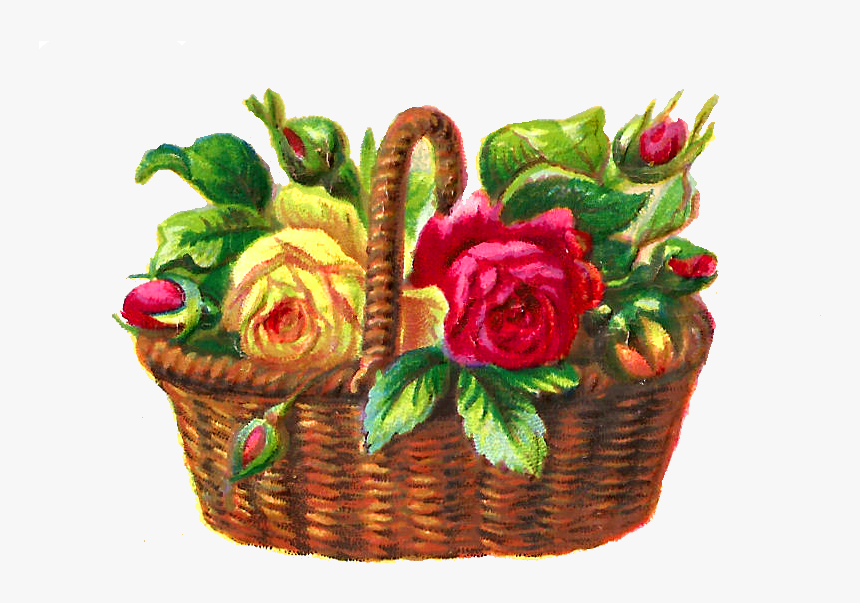 Flower Rose Illustration Basket Digital - Garden Roses, HD Png Download