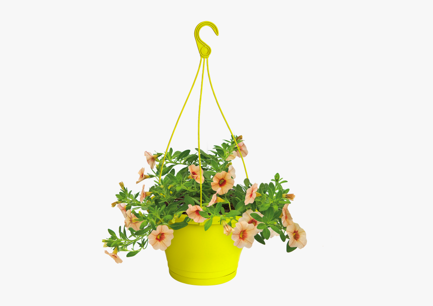 hanging flower pot clipart hd png download transparent png image pngitem hanging flower pot clipart hd png