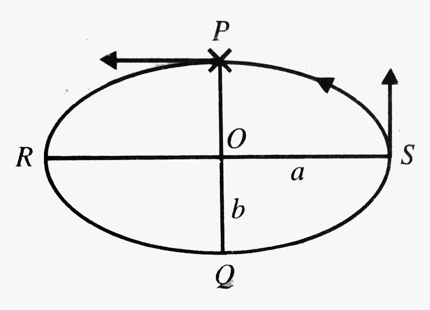 Circle, HD Png Download