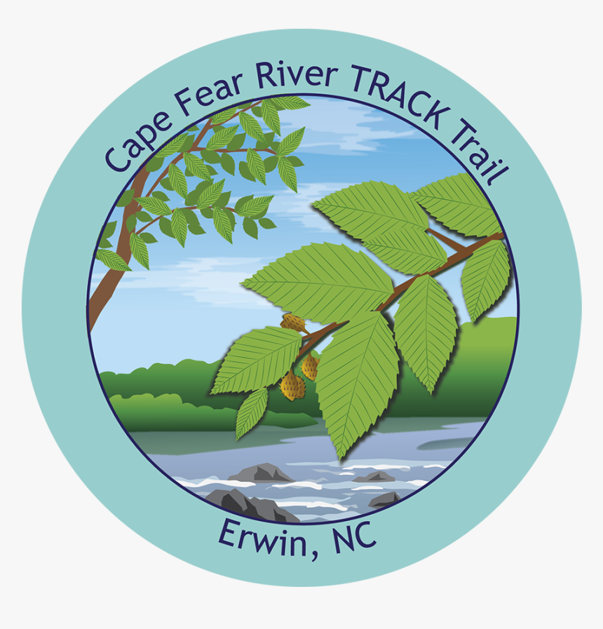 Elm, HD Png Download