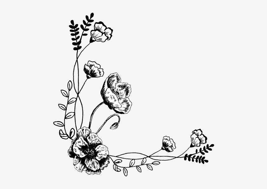 Floribunda, HD Png Download