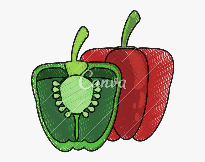 Chili Drawing Red Fruit - Illustration, HD Png Download