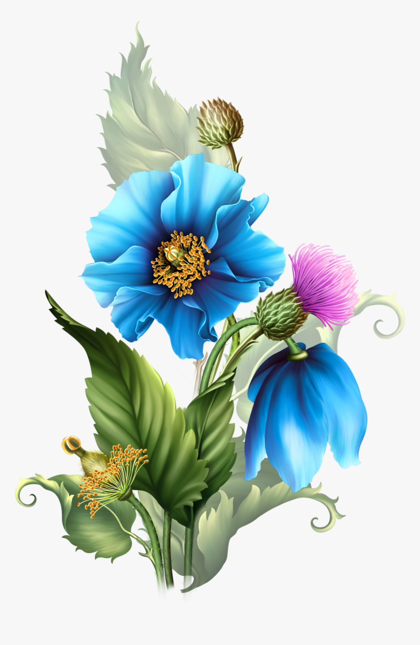 Centerblog Flowers, HD Png Download