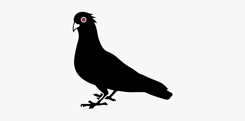 Pigeon Vector, HD Png Download