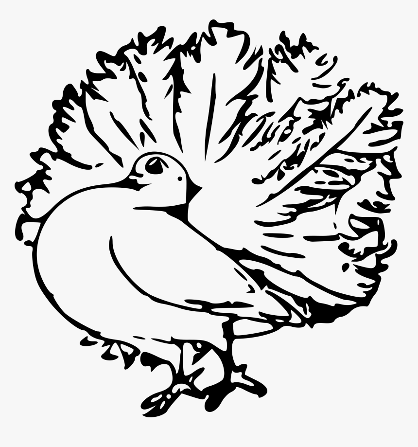 Free Pigeon Outline Clipart Clipart And Vector Image - Feather Animal Black And White, HD Png Download