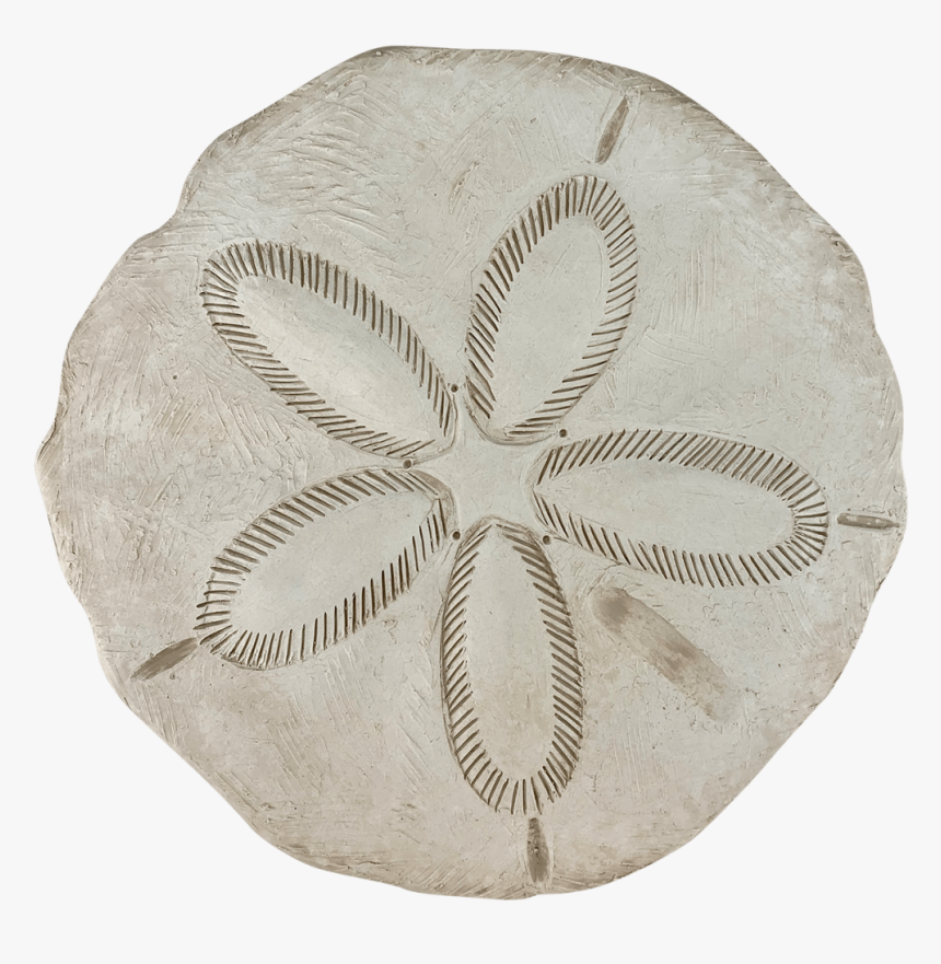 Sand Dollar, HD Png Download