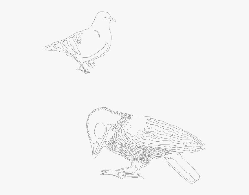 Sketch, HD Png Download