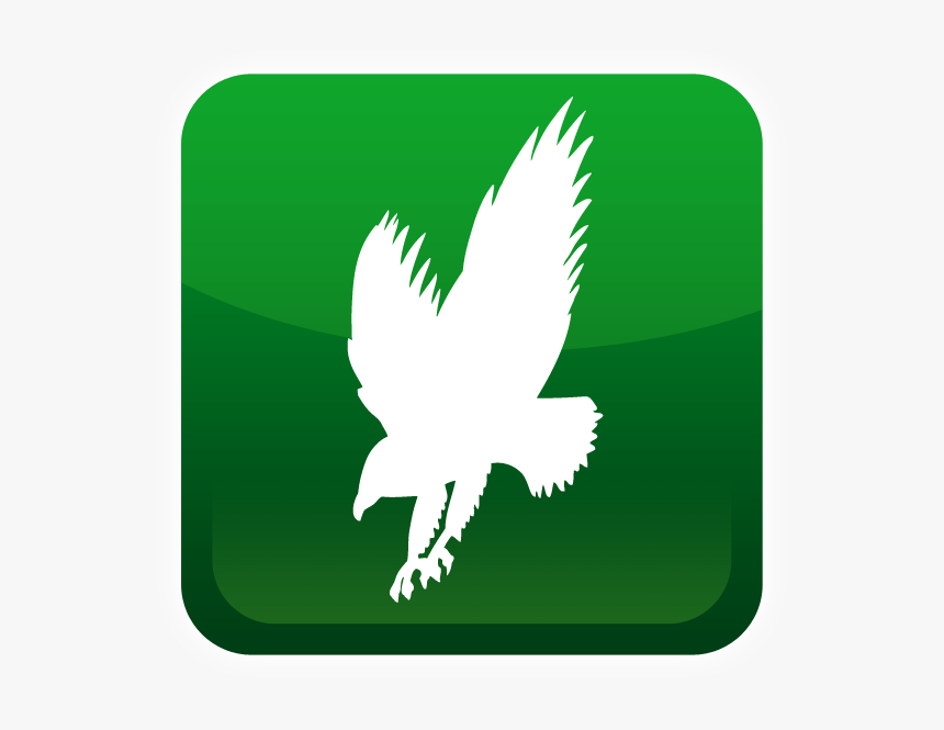 Green Eagle Wings Logo Transparent, HD Png Download