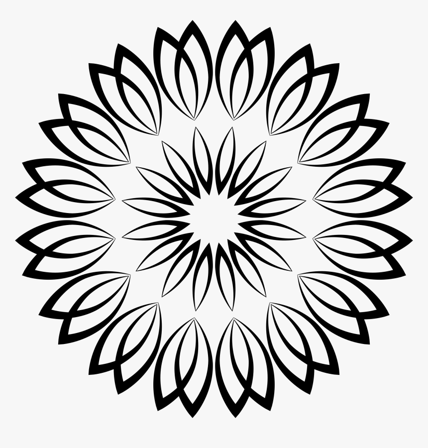 Cliparts For Free Download Lines Clipart Flower And - Lgbti National Health Alliance, HD Png Download