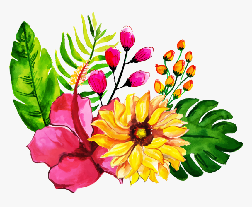 Common Peony, HD Png Download