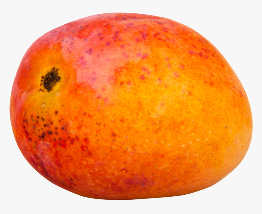 Portable Network Graphics, HD Png Download