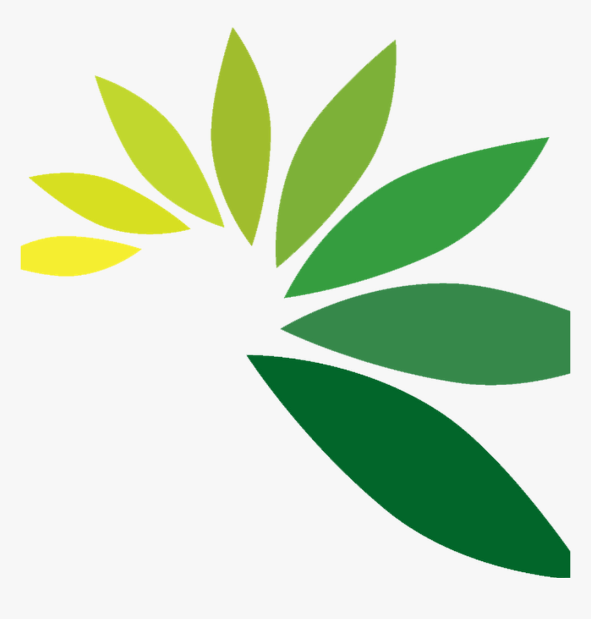 Leaf Logo Png - Green Leaf Logo Png, Transparent Png