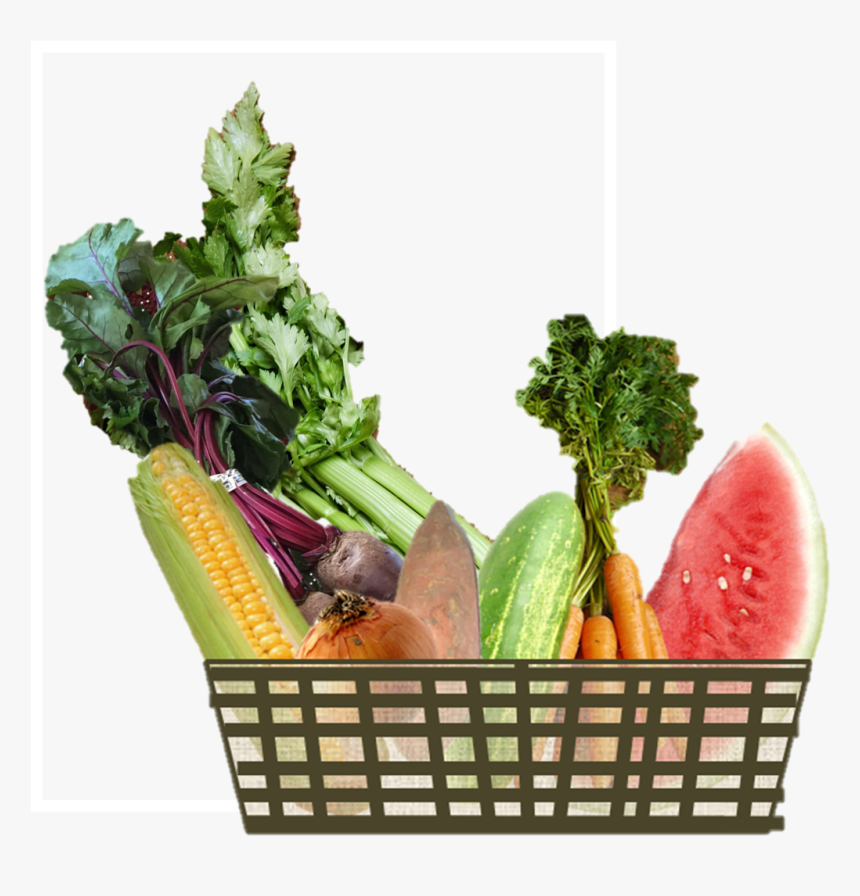 All Our Eggs Are In Too Few Baskets - Basket Of Crops, HD Png Download