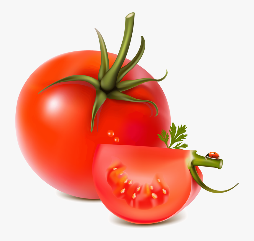Tomato Png Image - Tomato Vector Png, Transparent Png