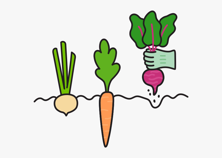Log-in To View Your Order - Baby Carrot, HD Png Download