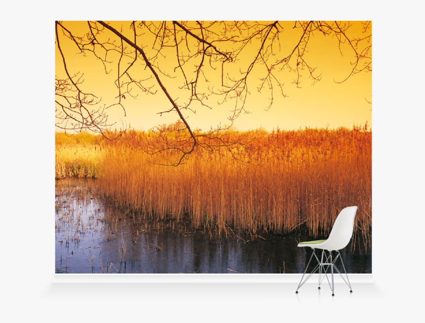 Modern Art, HD Png Download