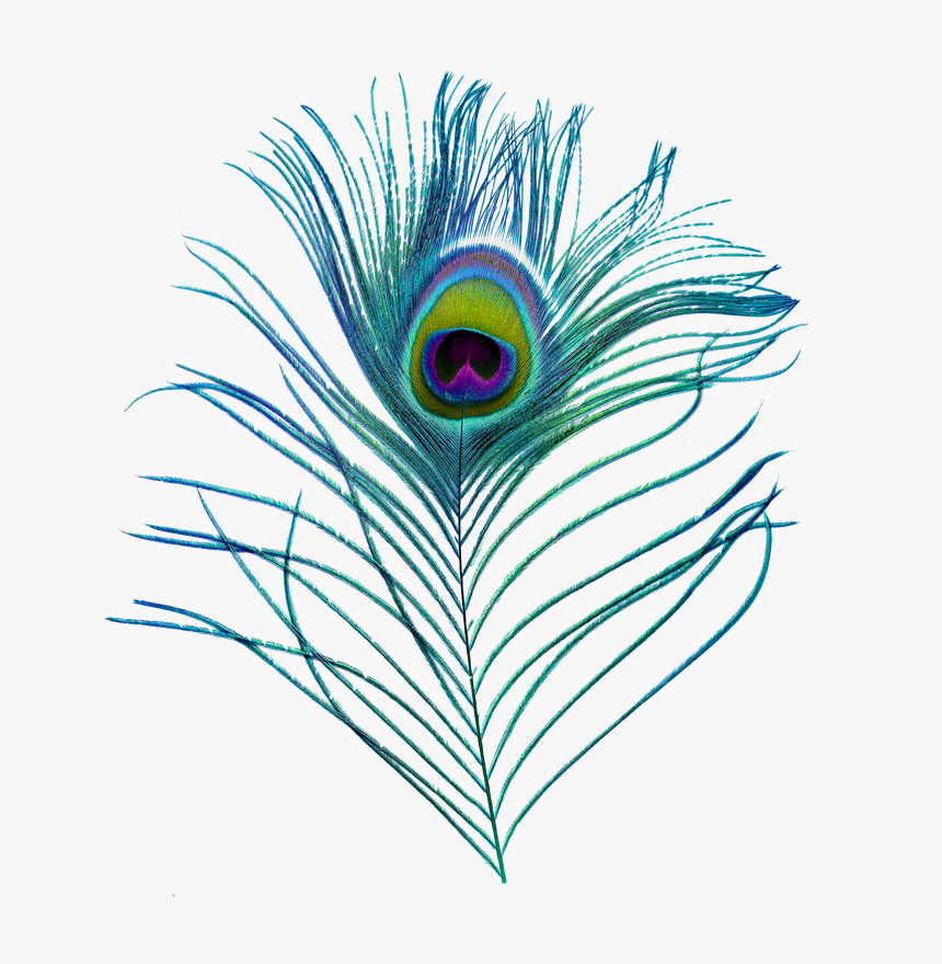 Picture - Art, HD Png Download