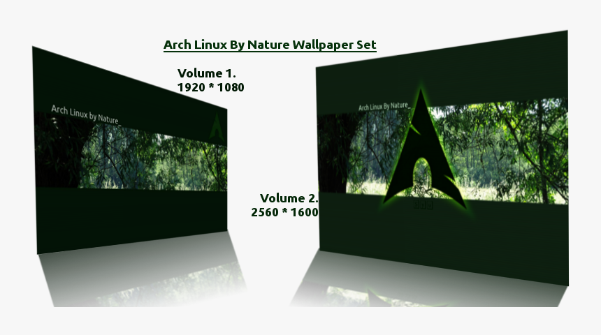 Tree, HD Png Download