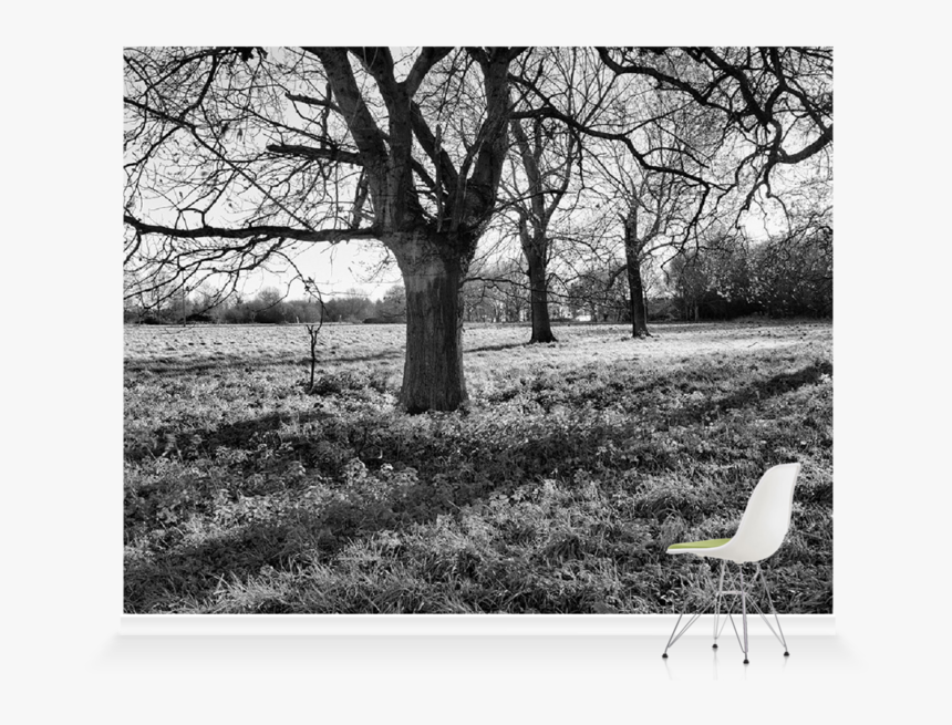 Monochrome, HD Png Download