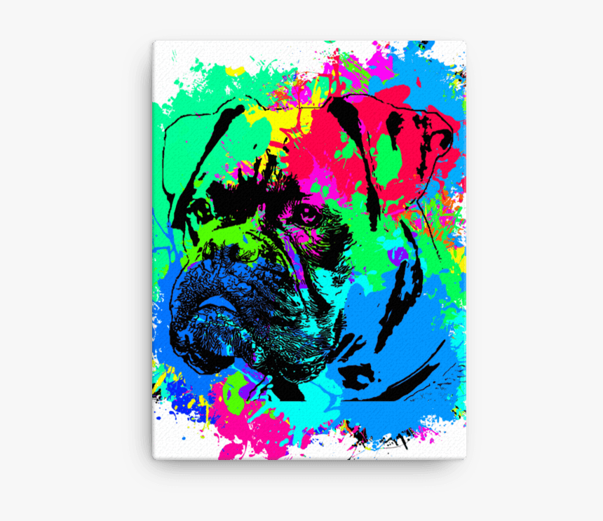 Boxer Colorful Splash Paint Canvas , Png Download - Illustration, Transparent Png