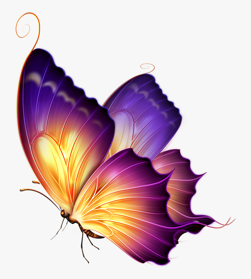 Best Butterfly Png Download Butterfly Png For Editing, Transparent