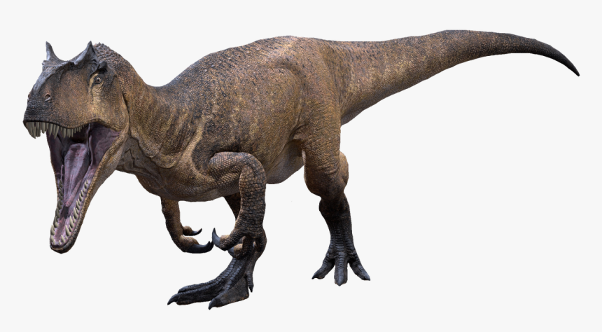 The Allosaurus Transparent Ver - Allosaurus Transparent, HD Png Download