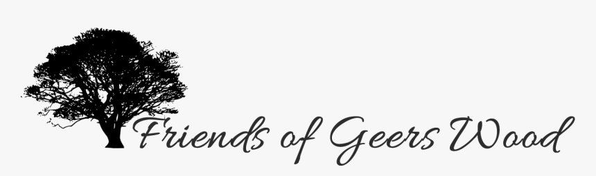 Calligraphy, HD Png Download