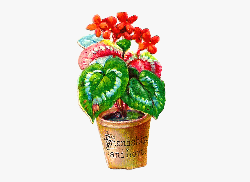 January - Flowerpot, HD Png Download