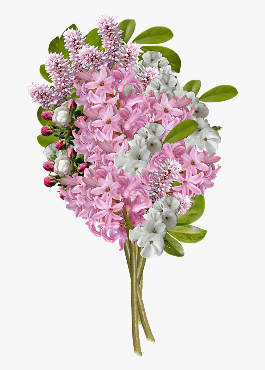 รูป ช่อ ดอกไม้ Png, Transparent Png