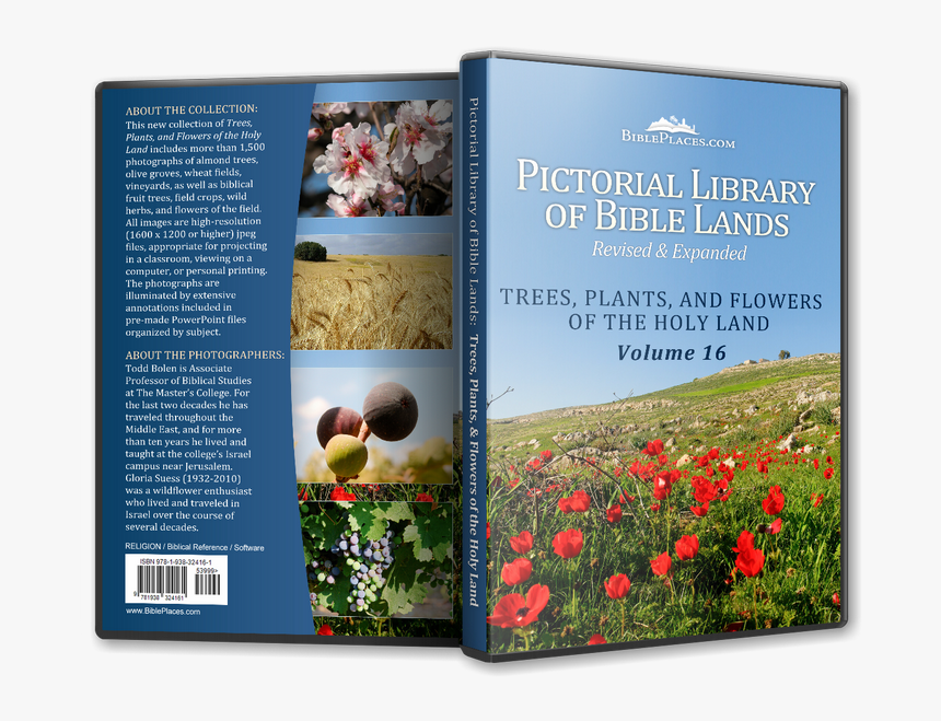 Trees In Israel Book, HD Png Download