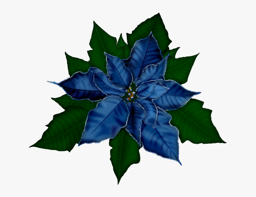 Transparent Christmas Flowers Clipart - Transparent Background Poinsettia Clipart Png, Png Download