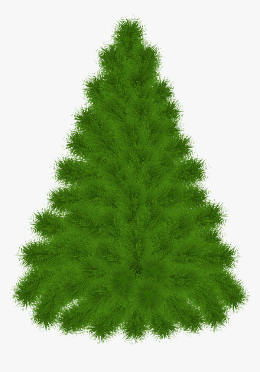Pine Tree Clipart Png Transparent Png , Png Download - Pine Tree Clipart With A Transparent Background, Png Download