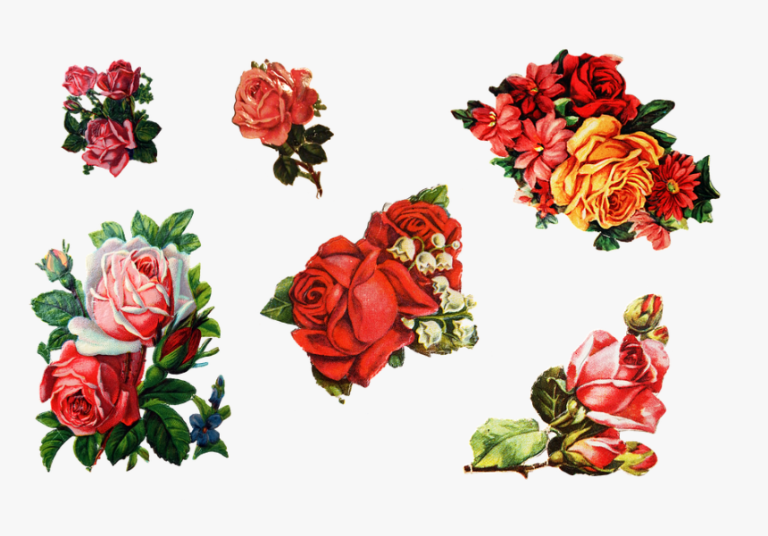 Rosor, Klistermärke, Gamla, Retro, Dekoration - Free Printable Rose Stickers, HD Png Download