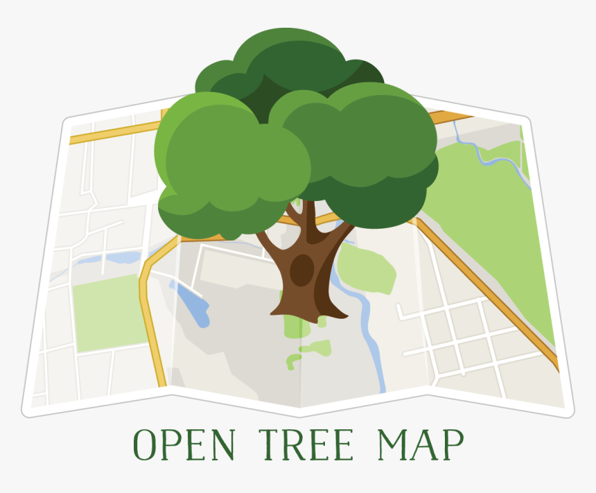 Ashoka Tree Map Printable - Clip Art, HD Png Download