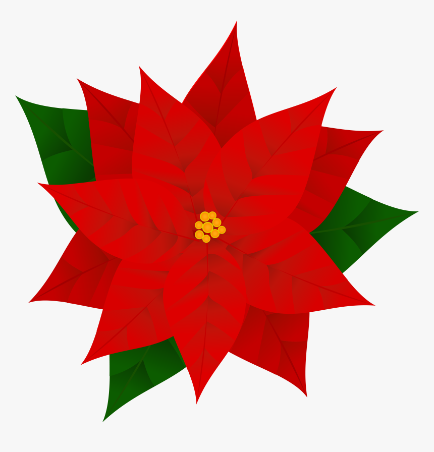 Transparent Ceramics Clipart - Clip Art Poinsettia, HD Png Download