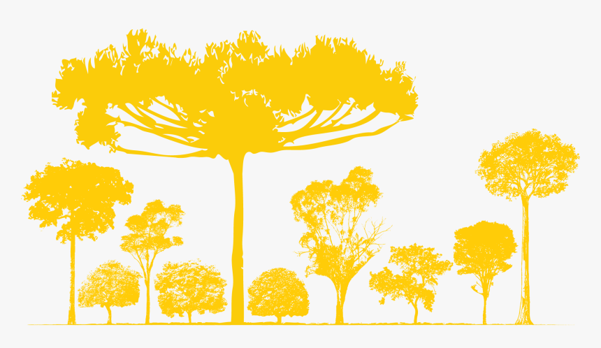 Novo Fogo, HD Png Download